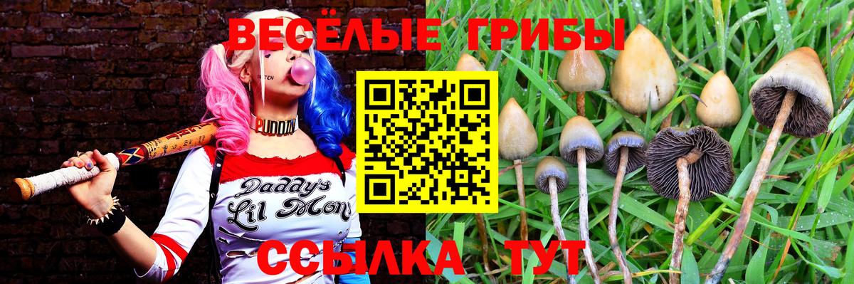 Обь  Галлюциногенные грибы мицелий  Вход с VPN 
